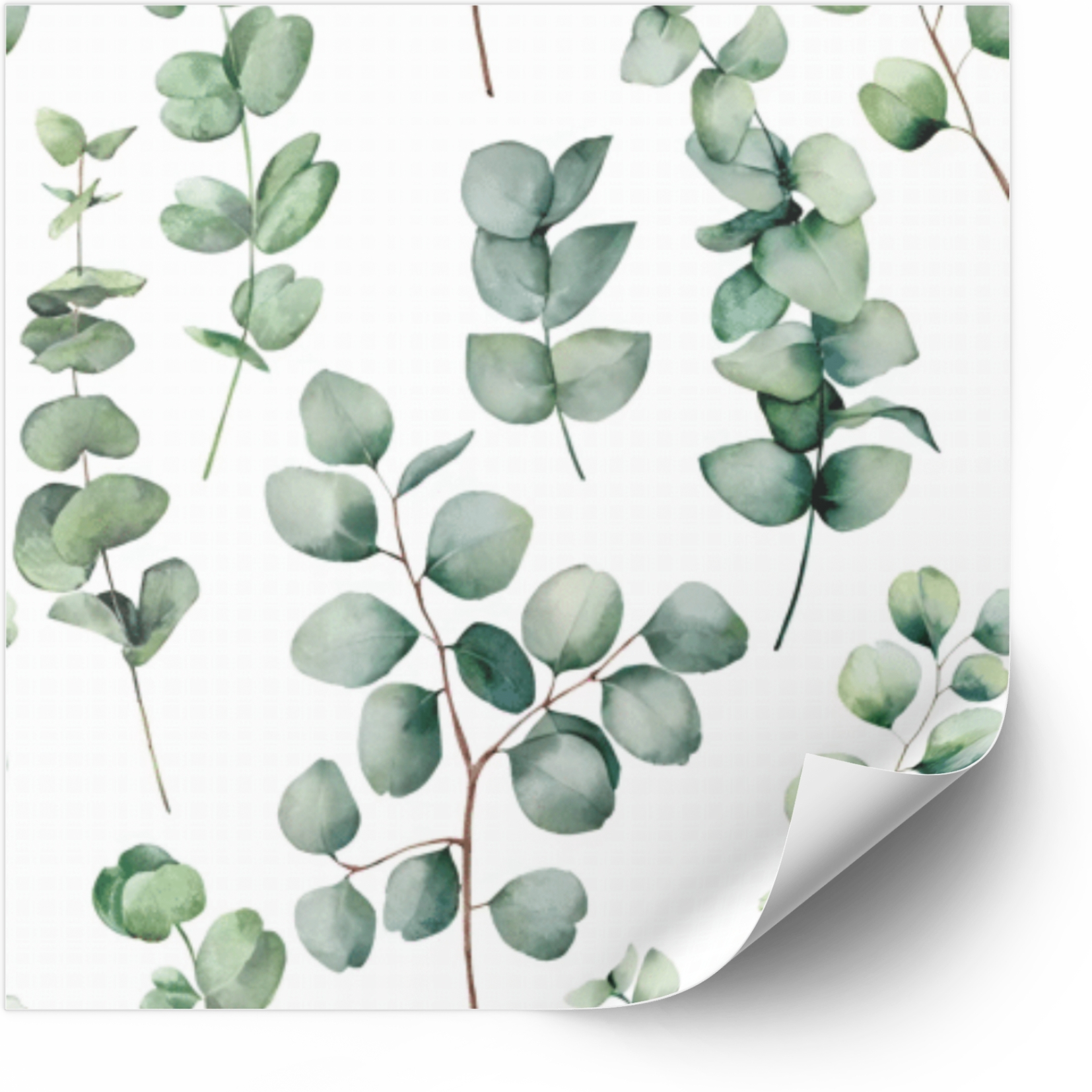 Kakelklistermärke - Eucalyptusdekaler / 24 st
