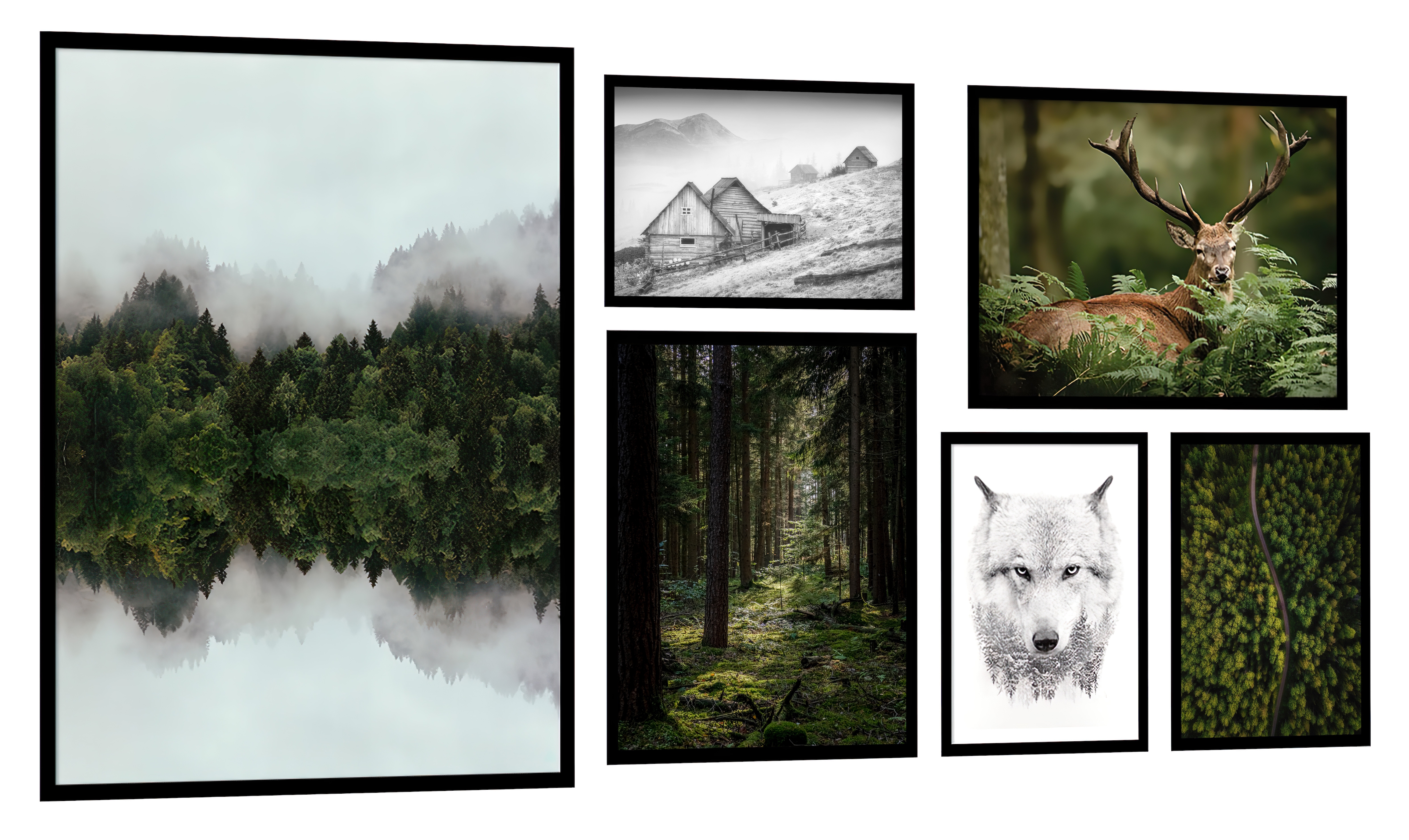 Posters - Skog och dimma / set med 6 st