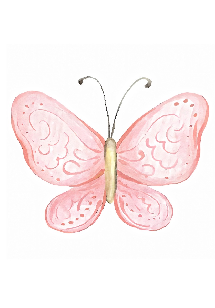 Affisch - Fjäril / Rosa