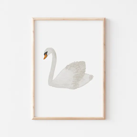 Poster - Svan / Vit