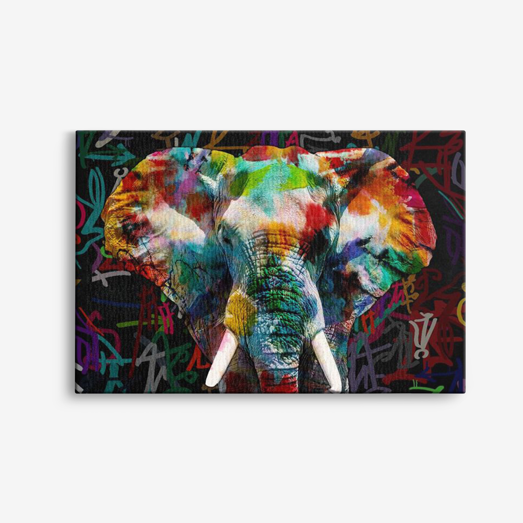 Canvas - Elefant