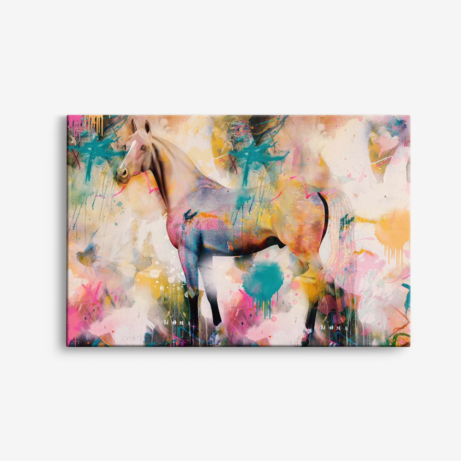 Canvas - Häst