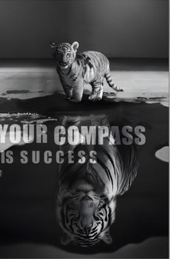 Affisch – YOUR COMPASS IS SUCCESS