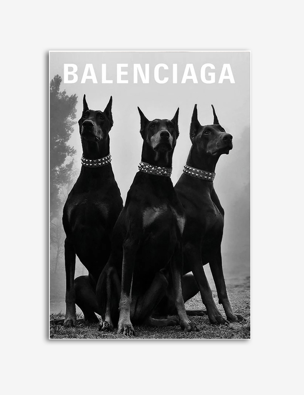 Balenciaga Hundar Affisch