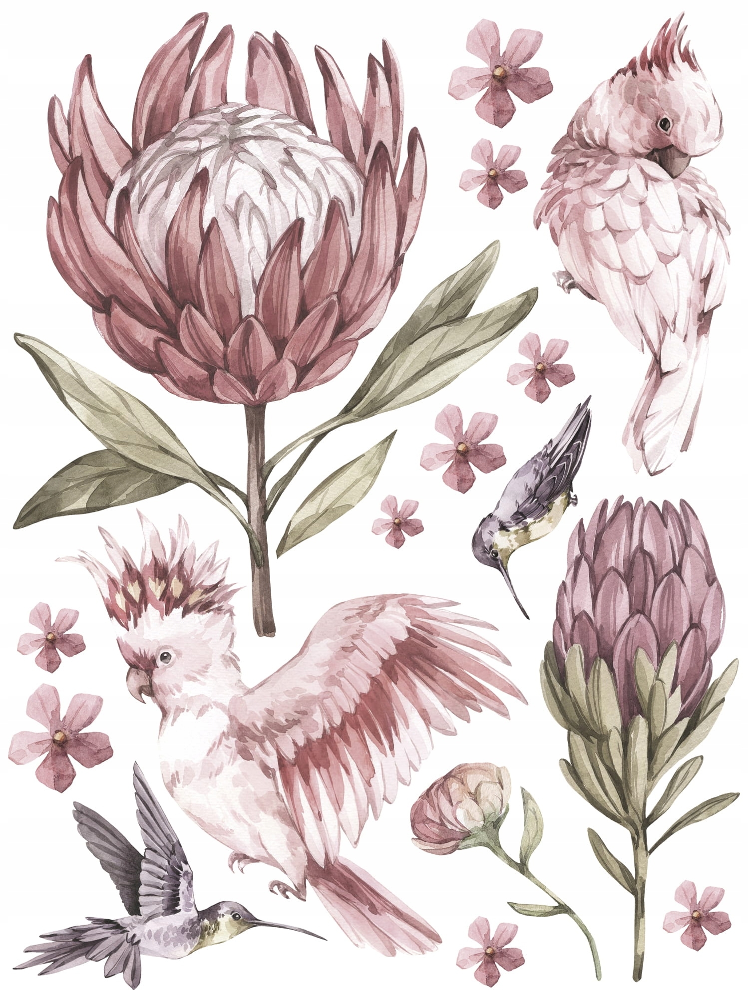 Väggdekal - Fåglar och Blommor