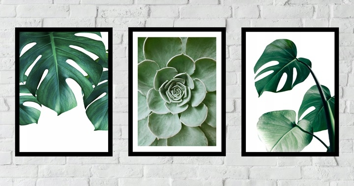 Posters - Kaktus och Monstera / Set om 3