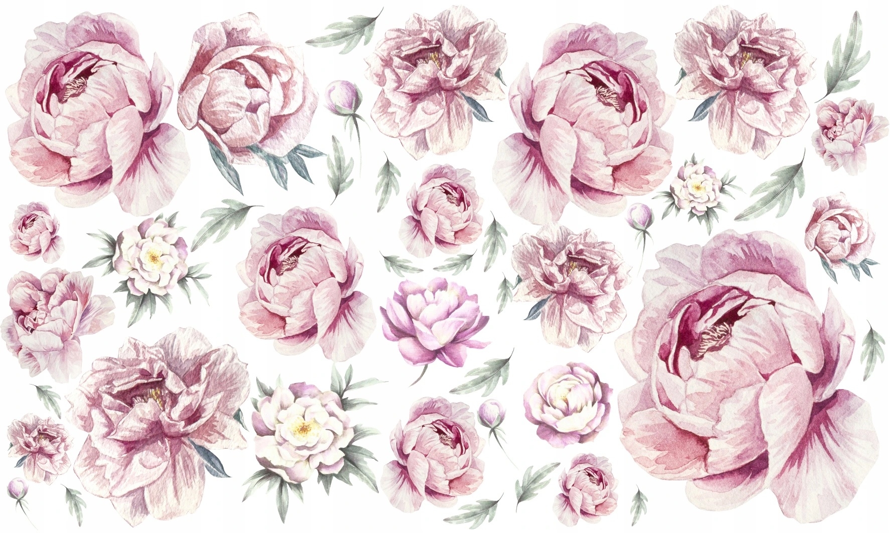 Väggdekal - Pioner / Rosa