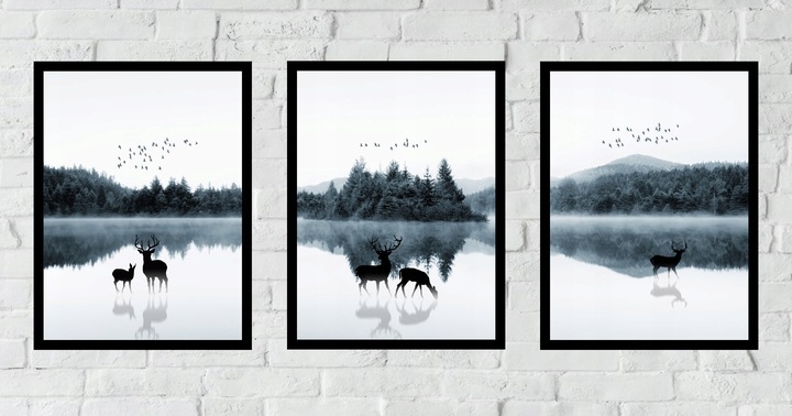 Posters - Rådjur / Set om 3