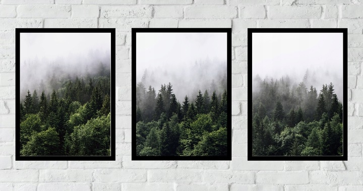 Posters - Skog i dimman / Set om 3