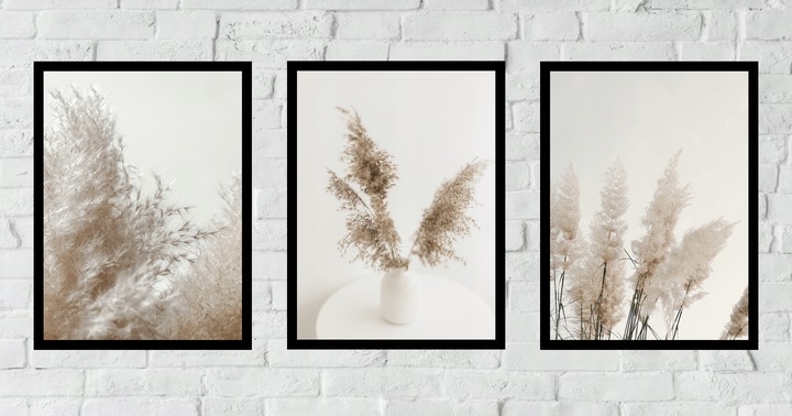 Posters - Torka pampas / Set om 3