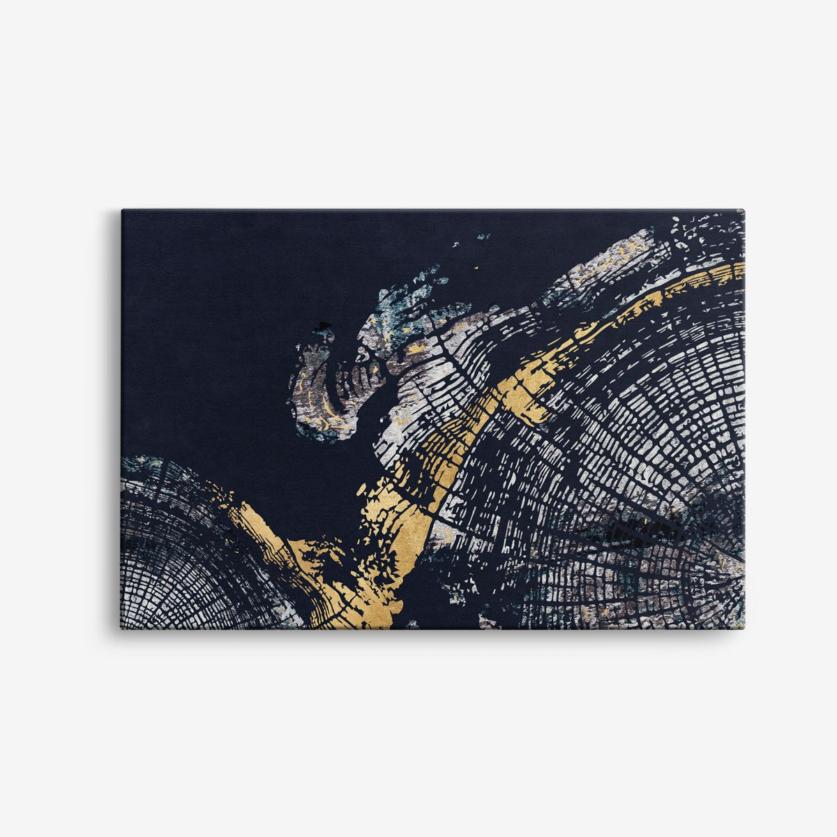 Abstrakta Ringar Canvas Konst