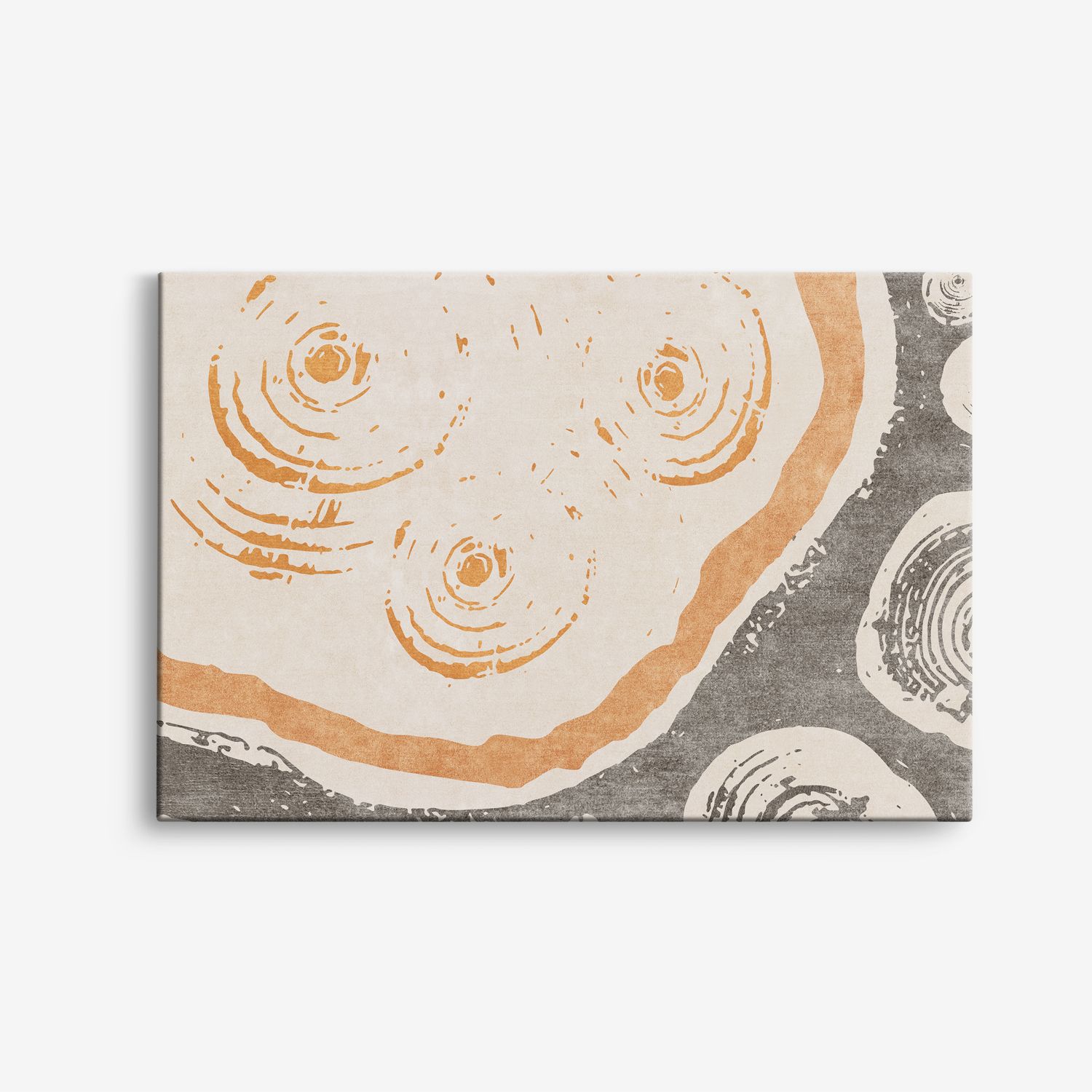 Abstrakt Cirklar Canvas