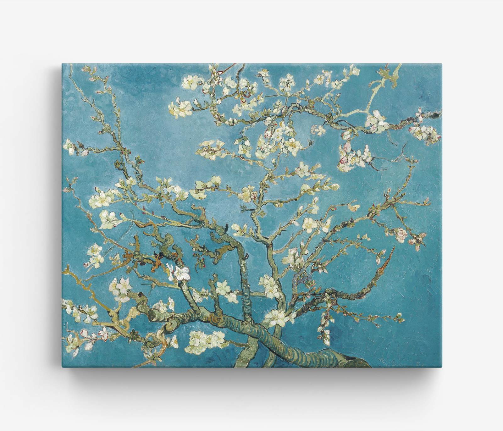 Mandelblom Canvas av Van Gogh