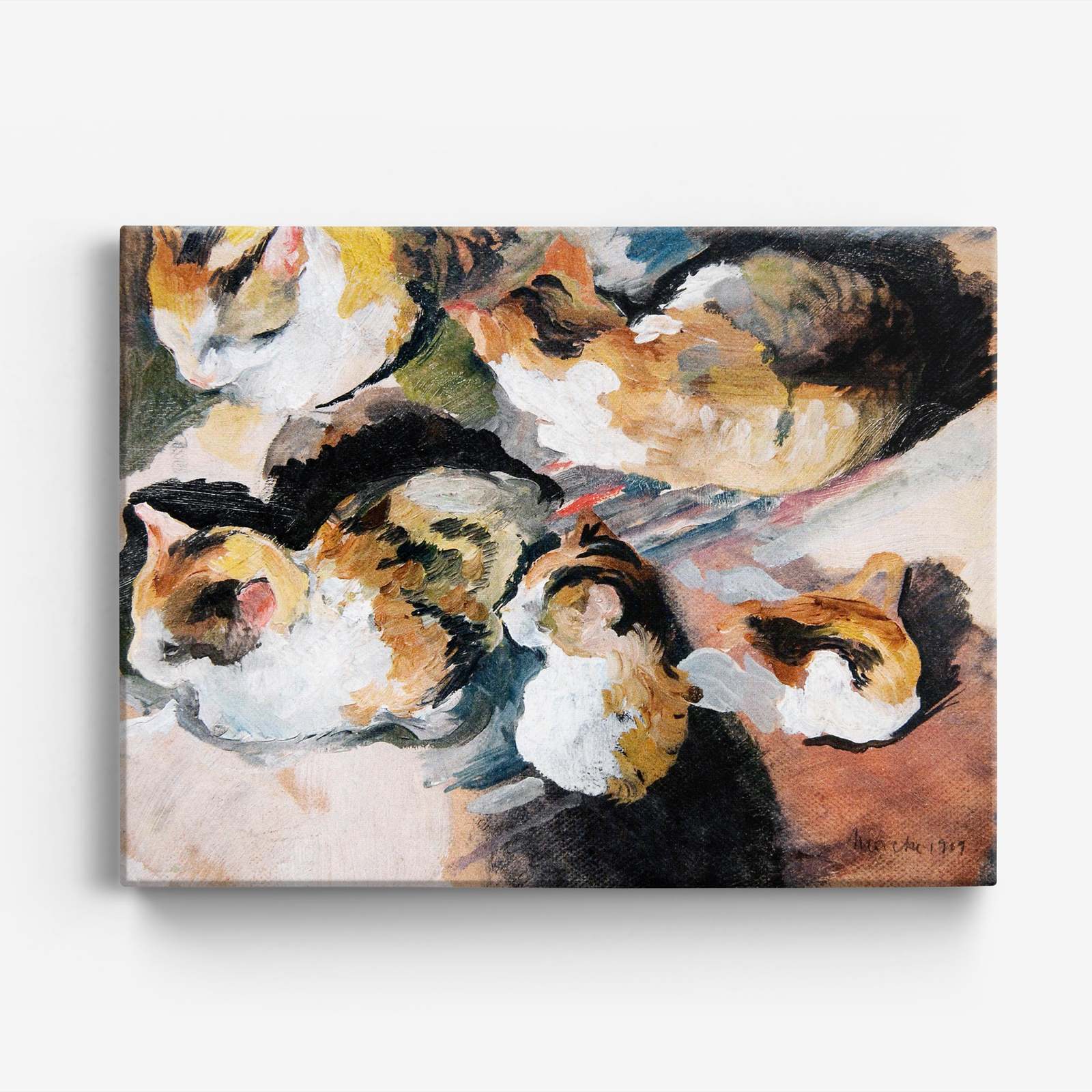 Kattmålning Canvas