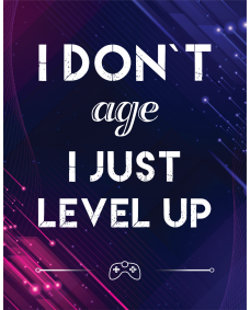 Affisch - Spelarcitat /  I dont age I just level up