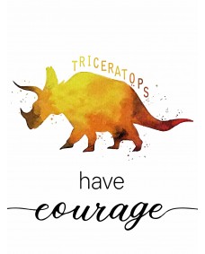 Affisch - TRICERATOPS / Have Courage