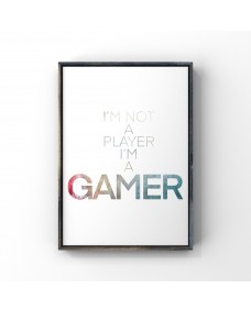 Affisch - Spel / Im a Gamer
