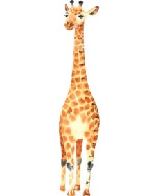 Väggdekal - Höjdmått / Giraff