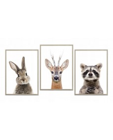 Posters - Rådjur, kanin, tvättbjörn / set om 3