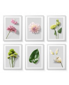 Posters - Blommor och blad / set med 6 st