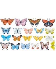 Väggdekal - Fjärilar / Set med 20 st