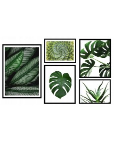 Posters - Kaktus och löv / Set om 5