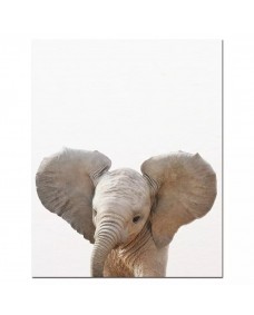 Poster -  Elefant