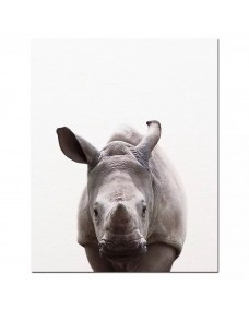 Poster - Noshörning