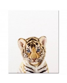 Poster -  Tiger