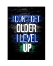Poster - I DON'T GET OLDER I LEVEL UP