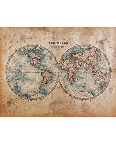 Affisch - Världskarta / The World in Hemispheres 
