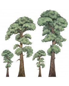 Väggdekal - Skog Träd