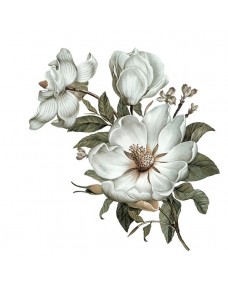 Väggdekal - Klassisk Magnolia / Höger