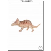 POSTER - TRICERATOPS
