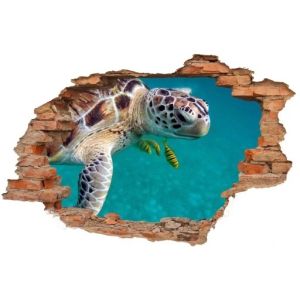 Väggdekal - 3D tegelsköldpadda