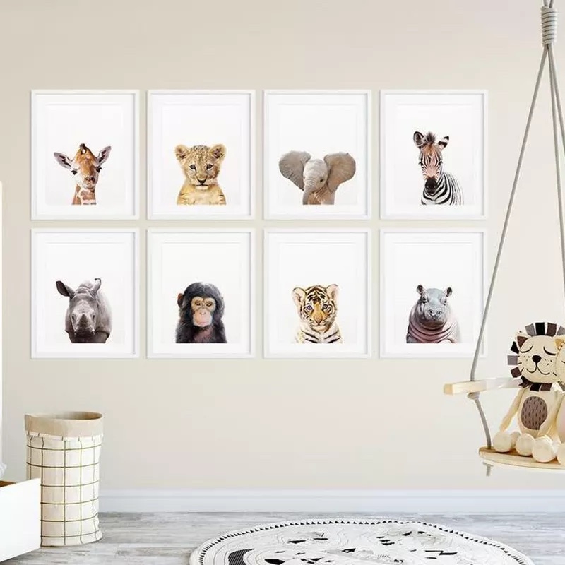 Posters - Safaridjur / Set om 8