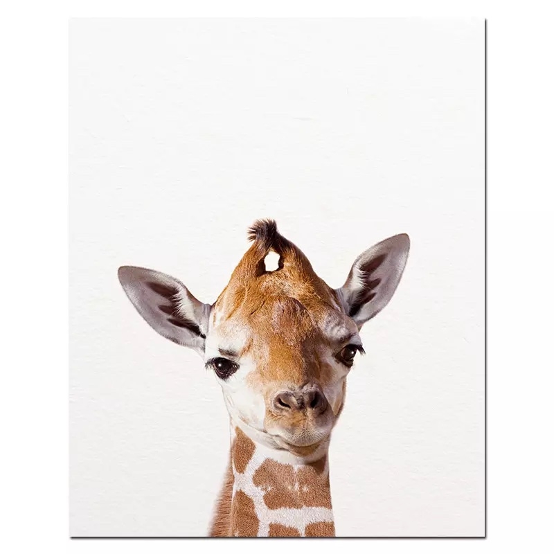 Poster - Giraff