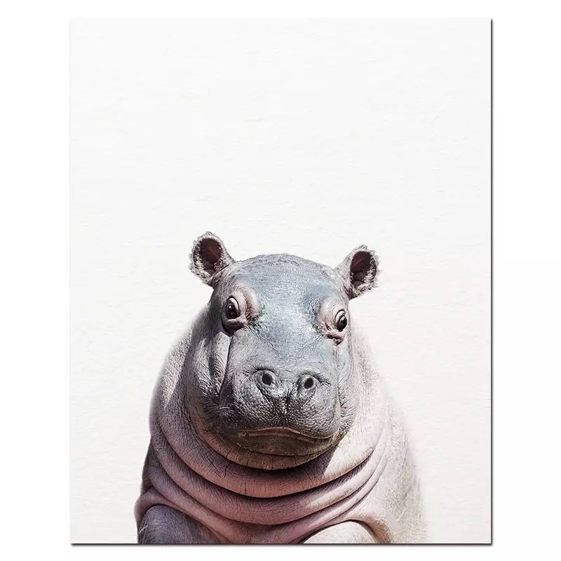 Poster - Flodhäst