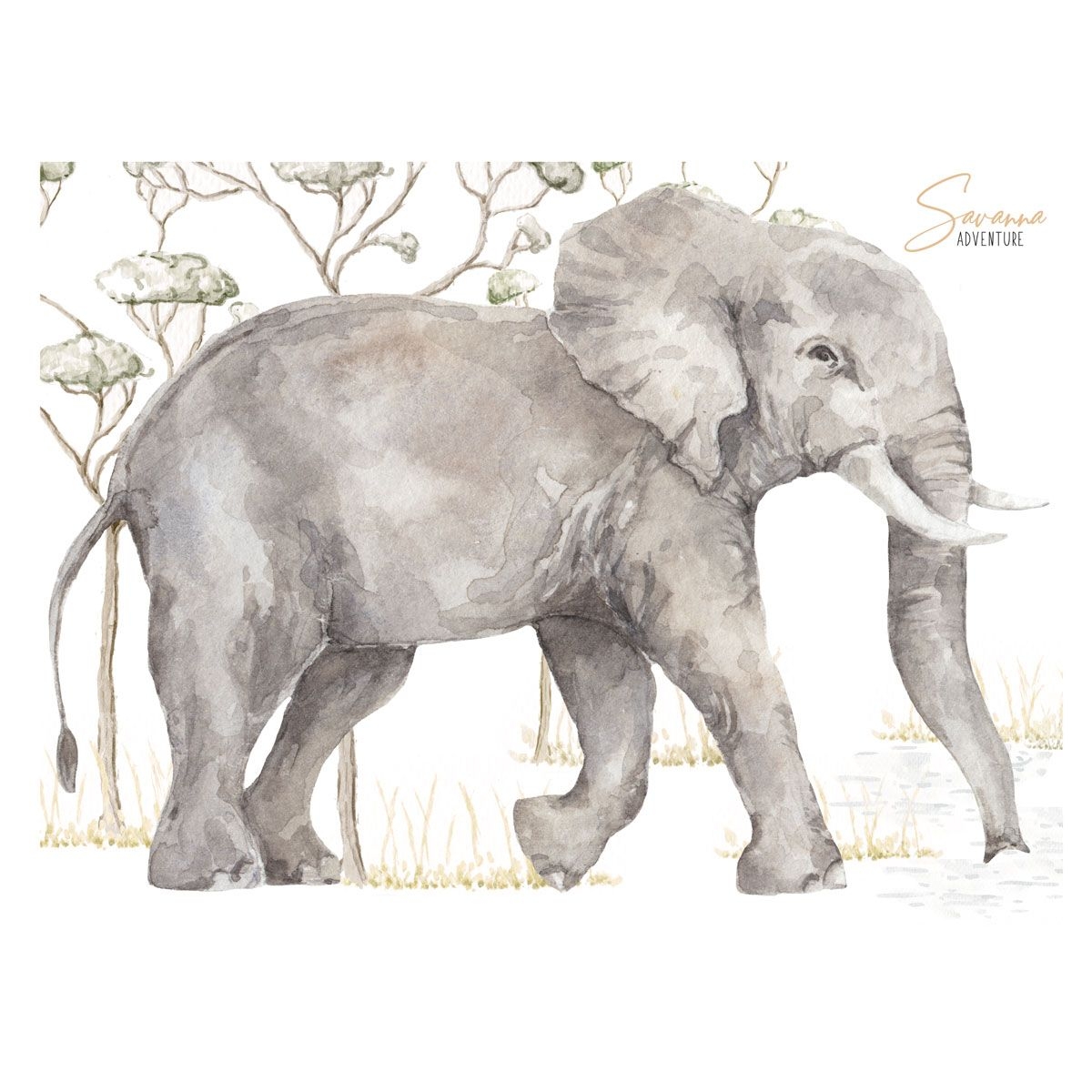 Väggdekal - Elefant