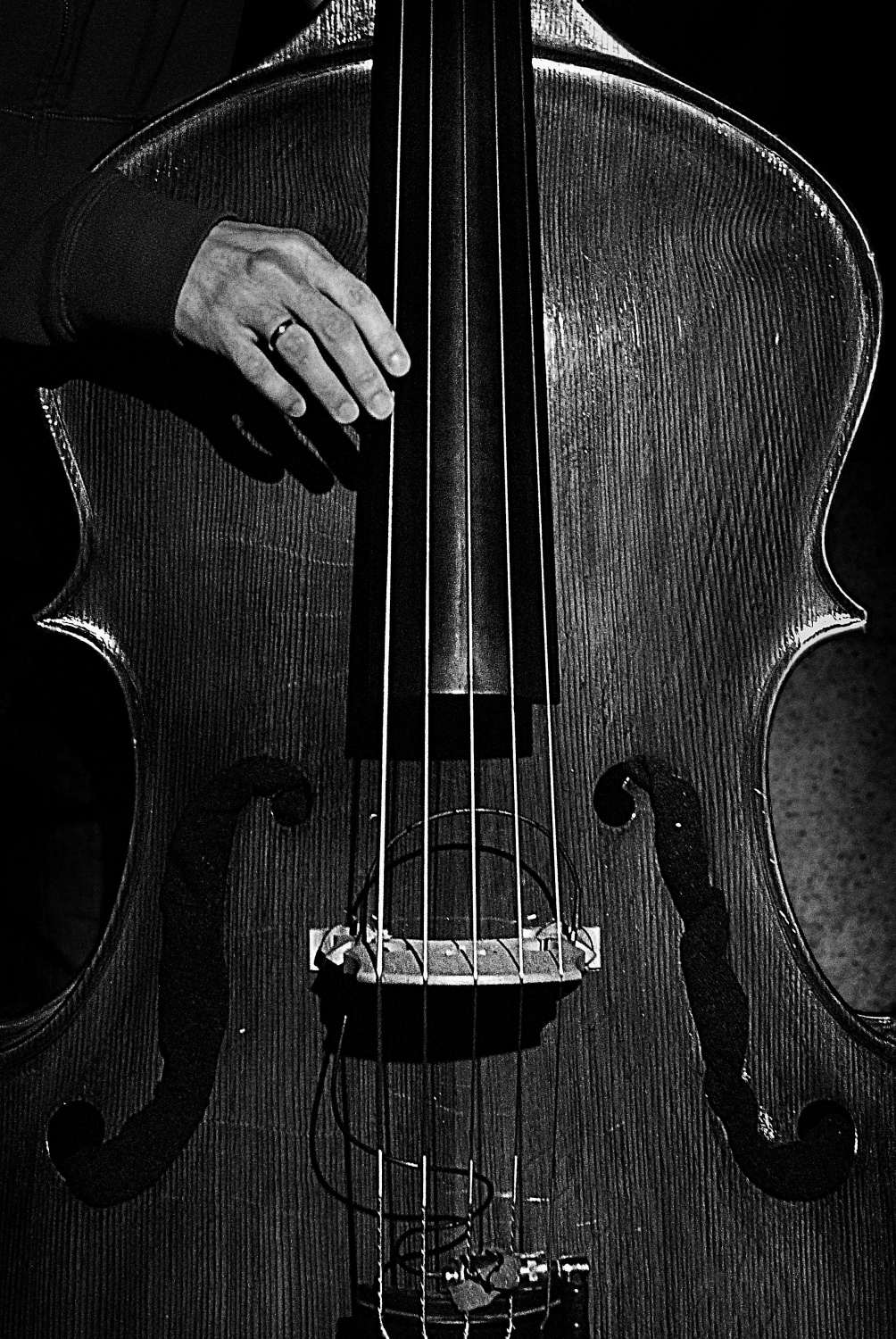 Poster - Cello i svart och vitt