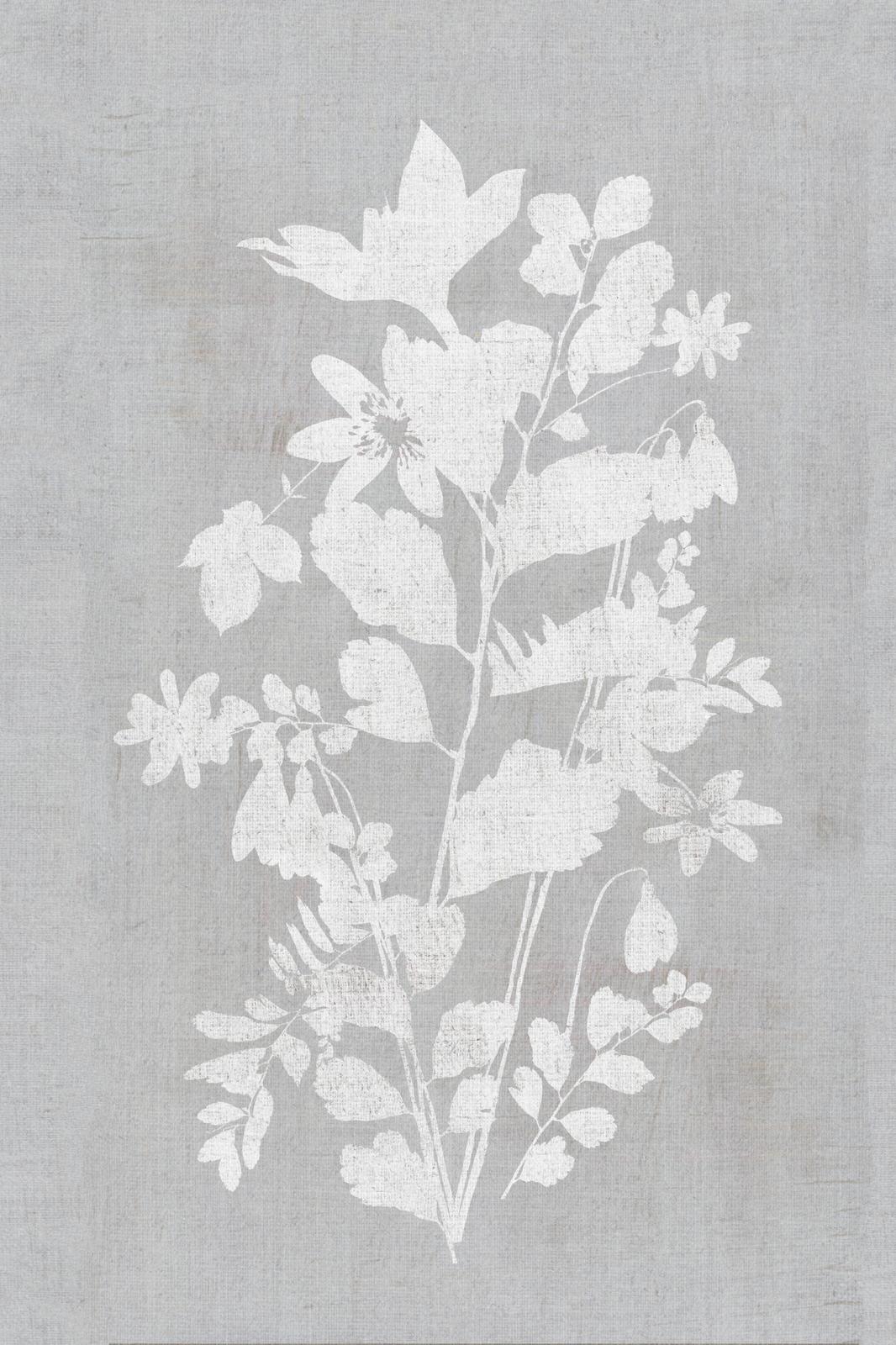 Affisch - Botanisk Blomkonst