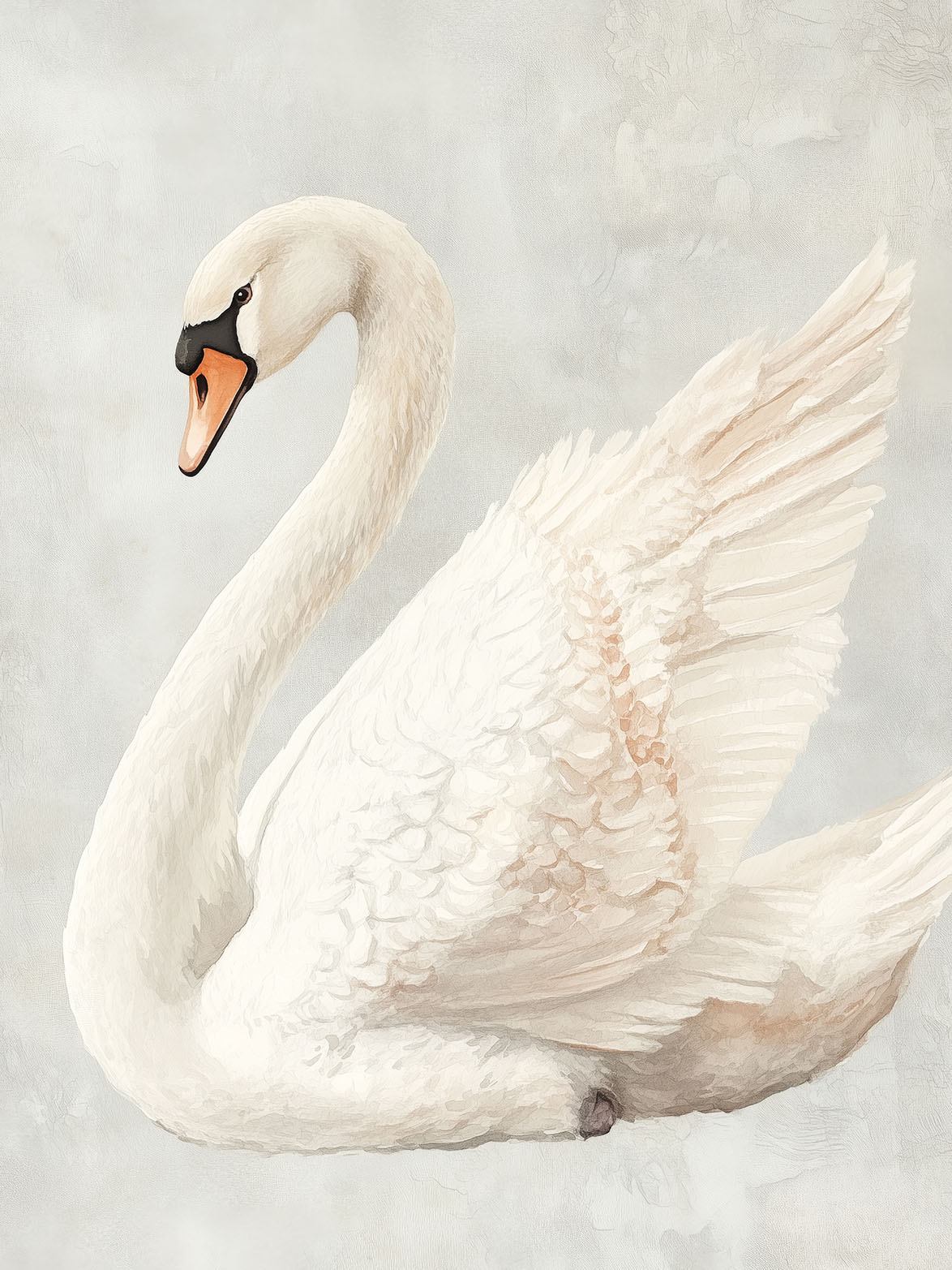 Poster - Elegant Svane