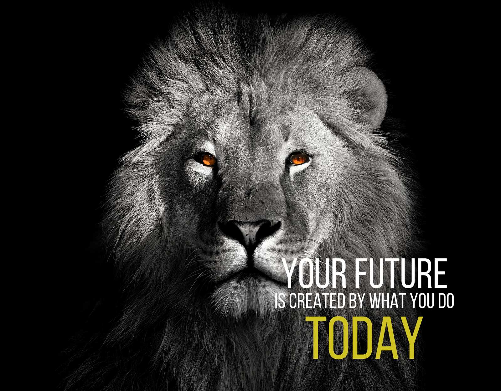 Poster - Lejon Motivation