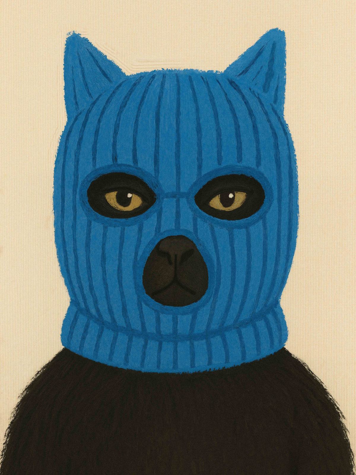 Poster - Blå maskerad katt