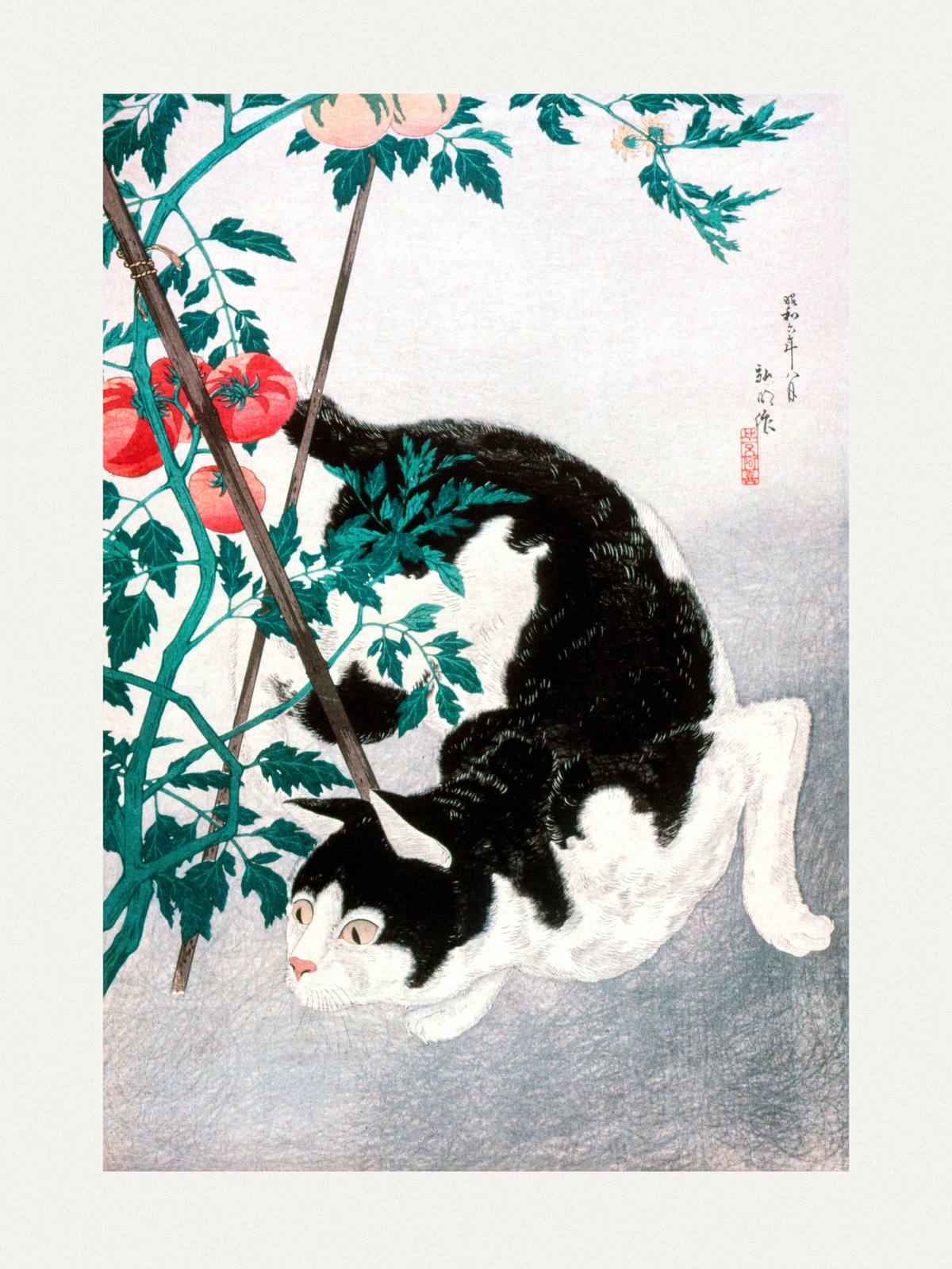 Poster - Katt och Tomater
