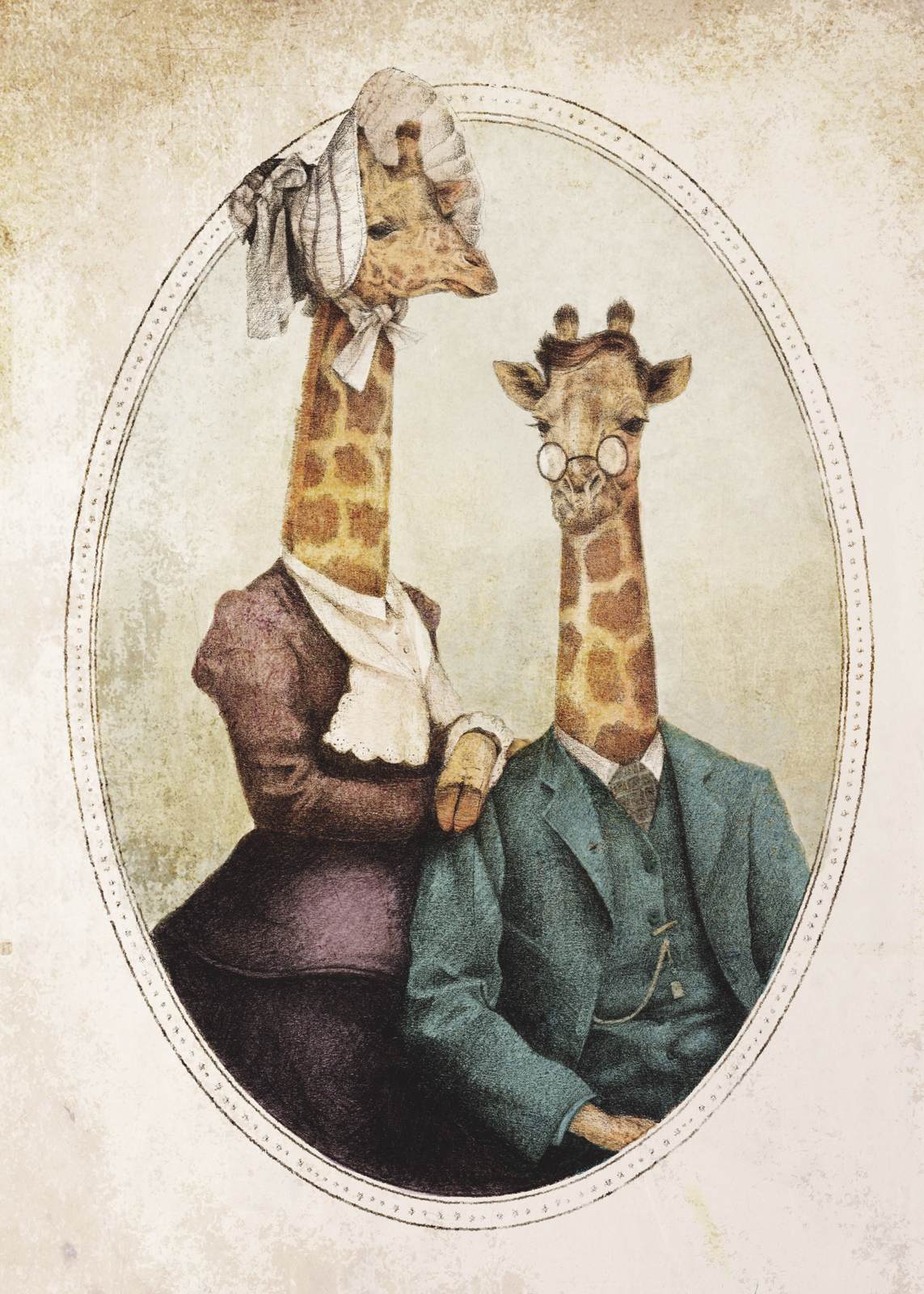 Poster - Giraffpar Porträtt
