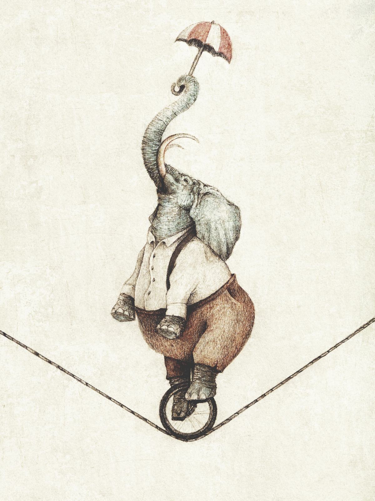 Poster - Elefant på enhjuling