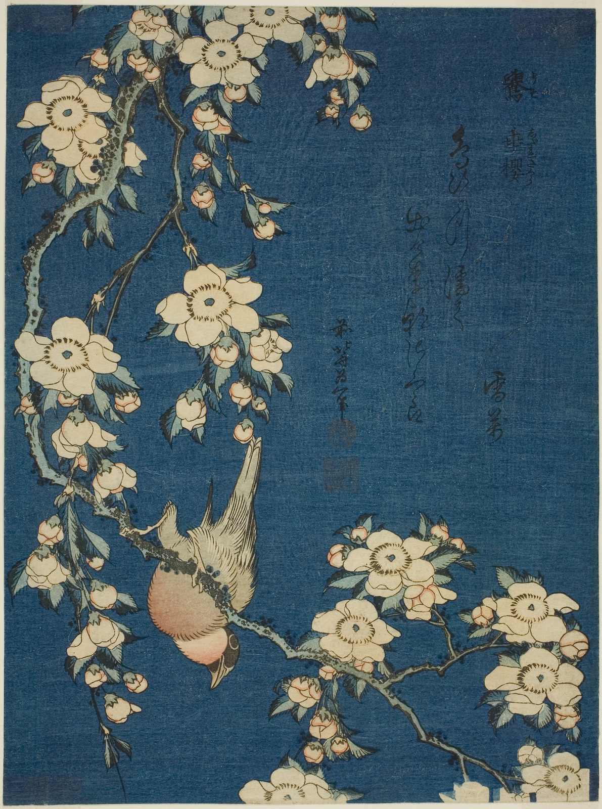 Poster - Fågel och Blommor