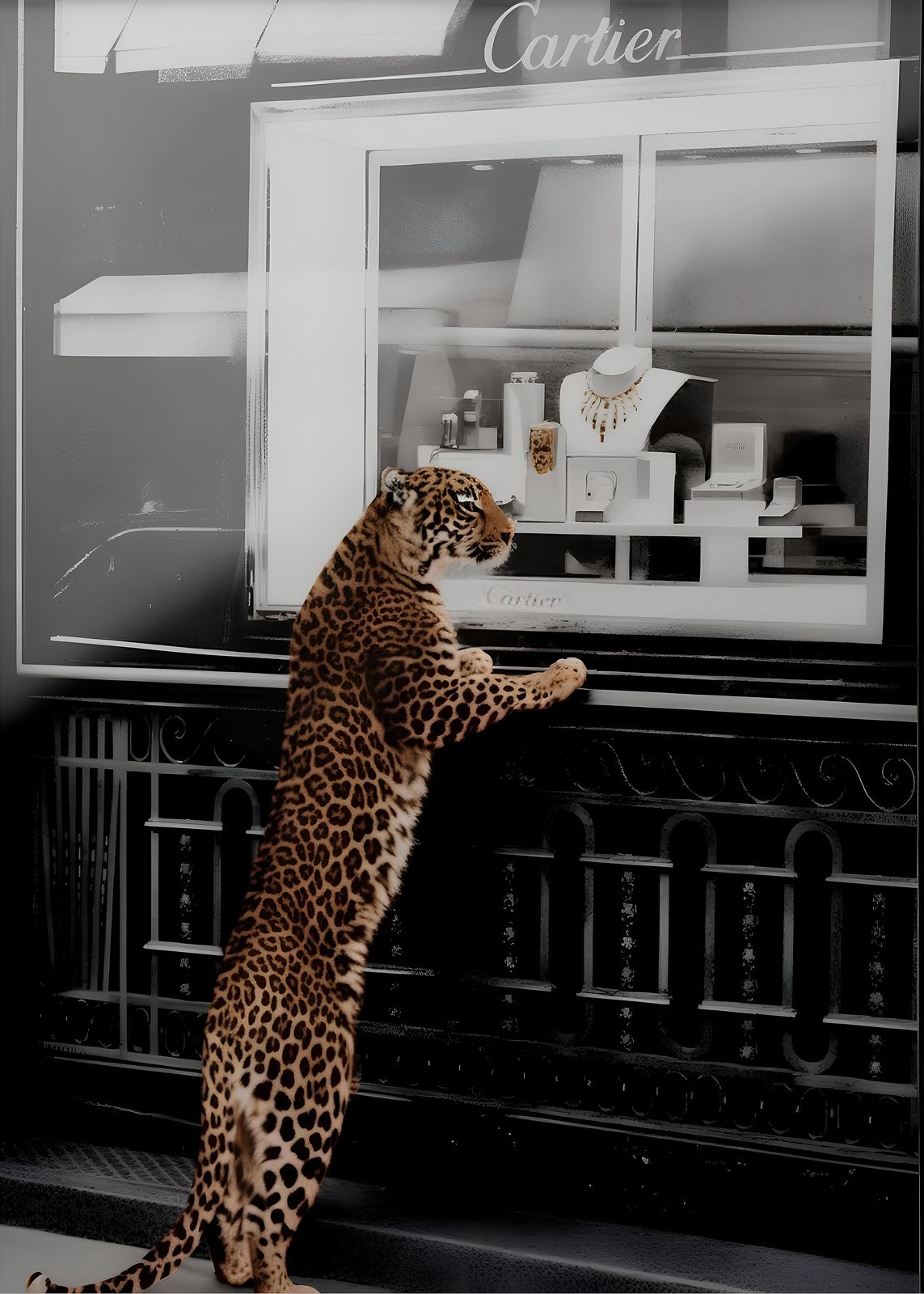 Poster - Leopard vid Cartier