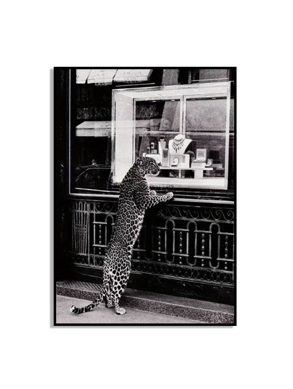 Leopard Fönstershopping Affisch